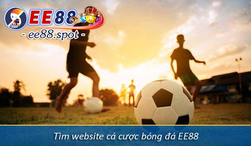 Chia sẻ cách tải app cá cược bóng đá EE88 hoàn cược 16% 3 Tìm website cá cược bóng đá EE88